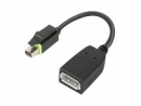 Lenovo DisplayPort-Adapter - Mini DisplayPort (M/W)