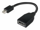 Lenovo DisplayPort-Adapter - Mini DisplayPort (W/M)