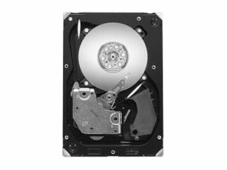 Seagate Cheetah SAS HDD 8.9cm (3.5") 300GB 15k 16MB 6G Ent