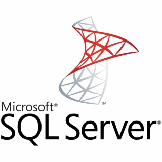 Microsoft SQL Server 2019 Stand. - Pre-owned