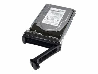 Dell SAS HDD 6.4cm (2.5") 600GB 15k 12G HPL (400-AJRF)