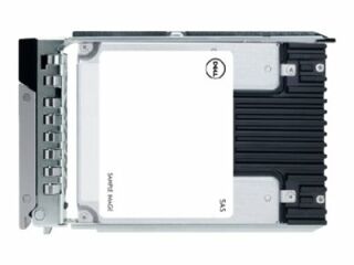 Dell SAS SSD 6.4cm (2.5") 3.84TB 12G HPL RI 512e (345-BBXY)