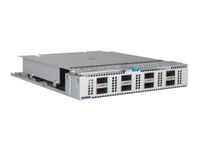 HPE Networking 5950 QSFP28 MACsec Modul mit 8 Anschlüssen
