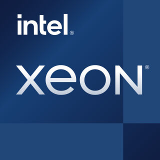 Intel Xeon E 2324G (3.1 GHz / 4-Core / 4 Threads / 8 MB Cache / 65 W)