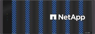 NetApp ASA A800 48xSFF All SAN Array 4U Storage