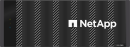 NetApp ASA C800 48xSFF All SAN Array 4U Storage