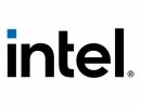 Intel Arc Pro B50 16GB PCIe 5.0 x8 70W aktiv GPU