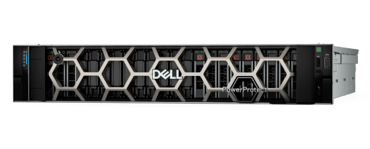 Dell PowerProtect Data Domain Appliance